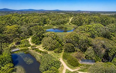 Explore Gustav Klingbiel Nature Reserve for scenic hiking and wildlife.