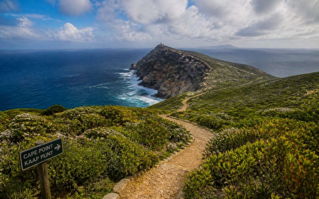 Discover scenic hikes on the cape of good hope trails.