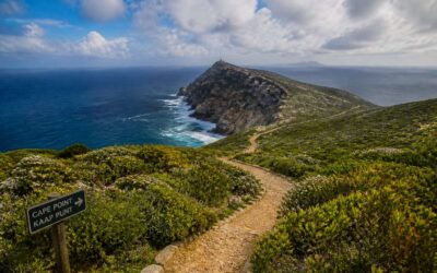 Discover scenic hikes on the cape of good hope trails.